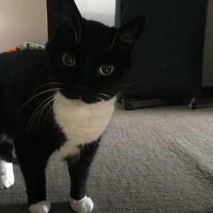 Meet your Posher, Jaidyn